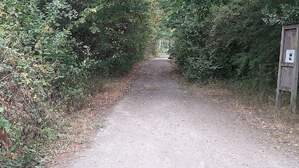 357319