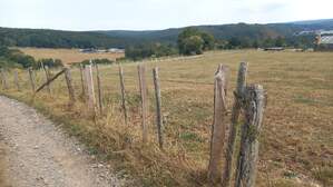 357778