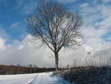 35863