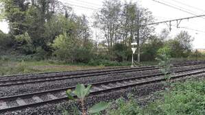 359814