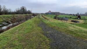 360781