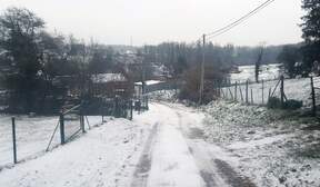 361071
