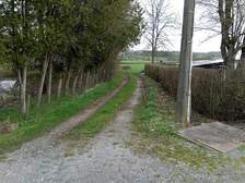 362451