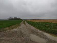 362481