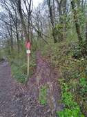 362773