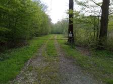 362999