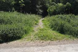363953