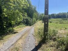 364484
