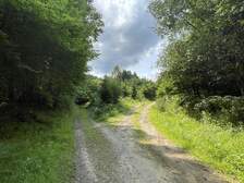 364504