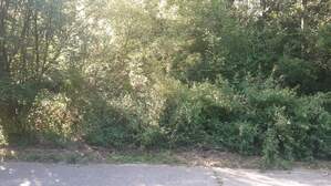 364903