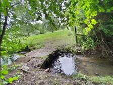 365246