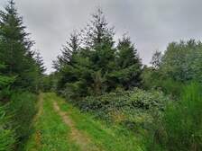 365854