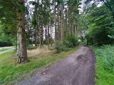365891