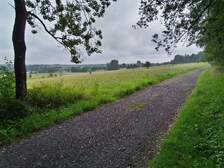 366794