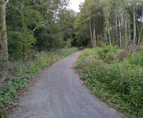 367040