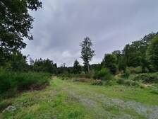 367135