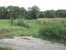 367232