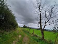 367353