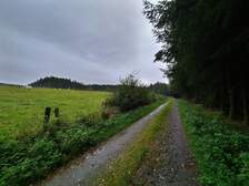 367681