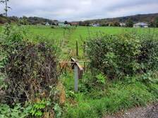 367976