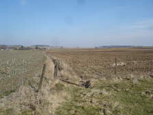 36798
