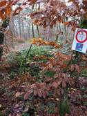 368153
