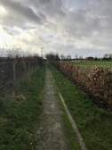 368419