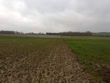 368548
