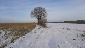 368919