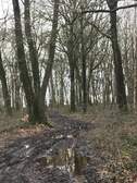 369364