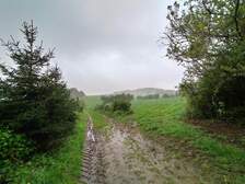 370693