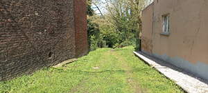 371026