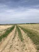 371243