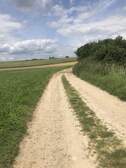 371611