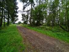 371746
