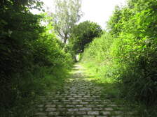 372060