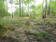 372859