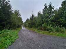 372963