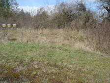 37368