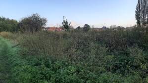373951