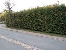 374147