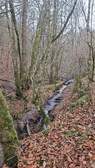 375424