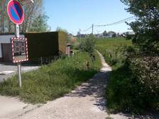 376627