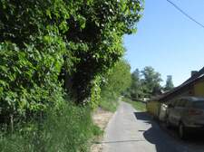 376732