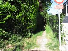 376901