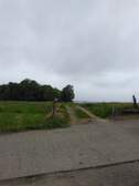 376926