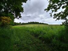 377554
