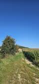 378880
