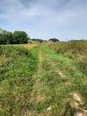 378981