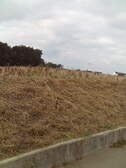 379866